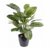 plante artificielle calathea roseopicta vert 1 1