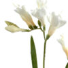 fleur artificielle fresia blanc 1 1