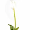 fleur artificielle tulipe blanc 2 1