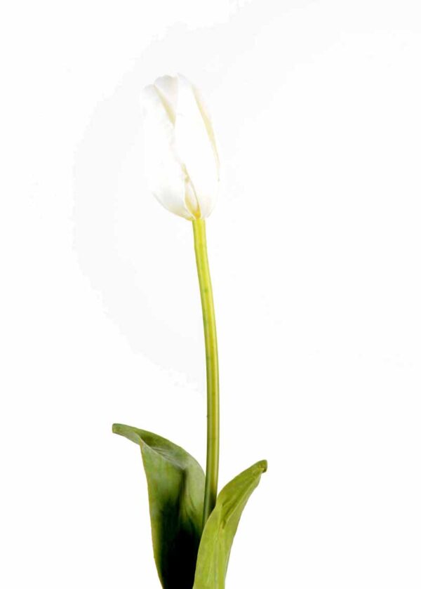 fleur artificielle tulipe blanc 2 1
