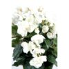 plante artificielle begonia blanc 2 1