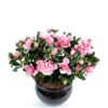plante artificielle fleurie azalee rose 1 1