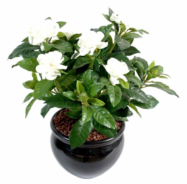 plante artificielle fleurie gardenia 1 1 1