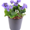 plante artificielle fleurie pensee violette 3 1