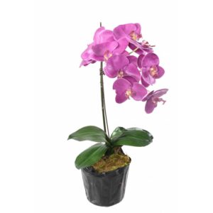 phalaenopsis orchidee artificielle 3145 24 1 1