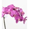 phalaenopsis orchidee artificielle 3145 24 3 1