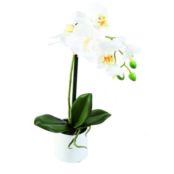 phalaenopsis orchidee artificielle 3941 58 1