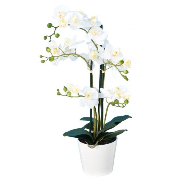 phalaenopsis orchidee artificielle 3944 58 1